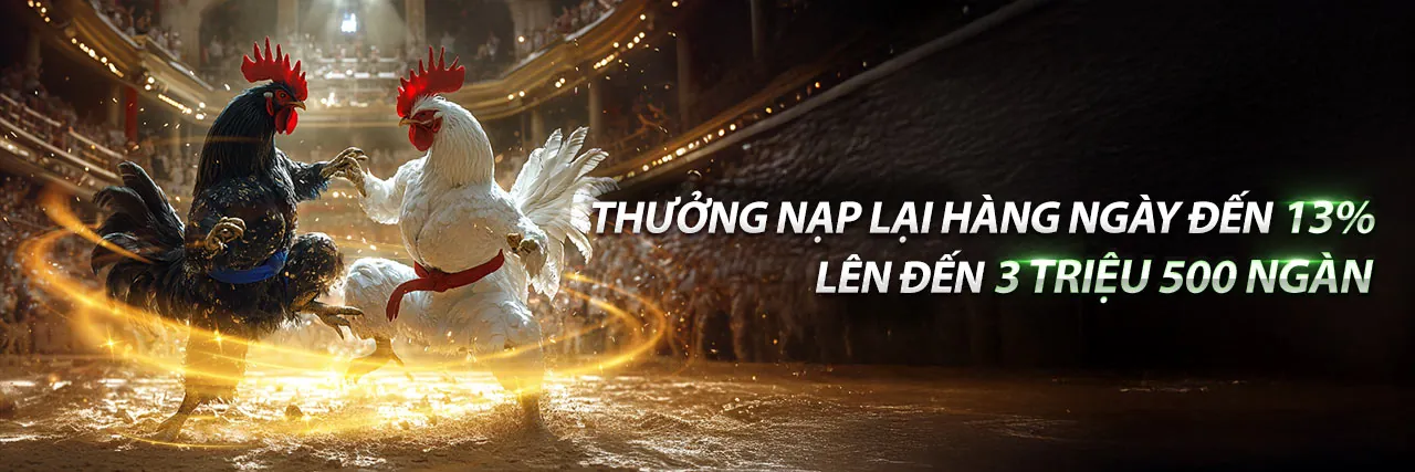 Đá gà trực tiếp w33win App 2026